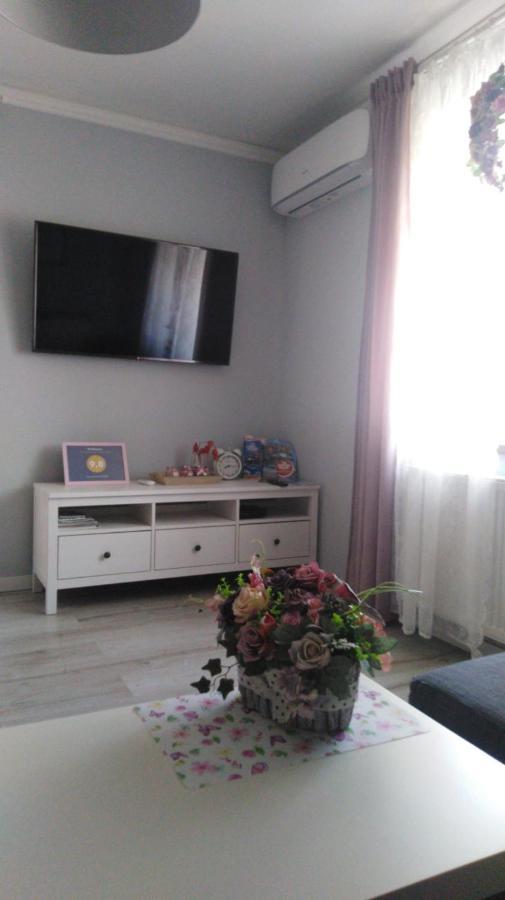 Oświęcim Apartament Antek Klimatyzowany מראה חיצוני תמונה