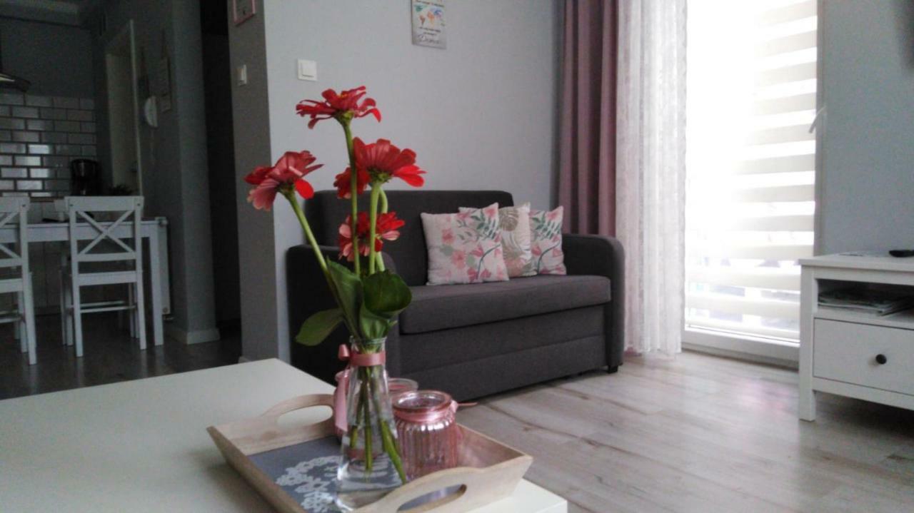 Oświęcim Apartament Antek Klimatyzowany מראה חיצוני תמונה